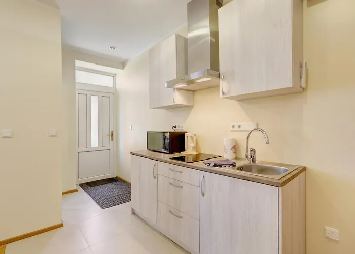 Apartment Hommiku 8a *